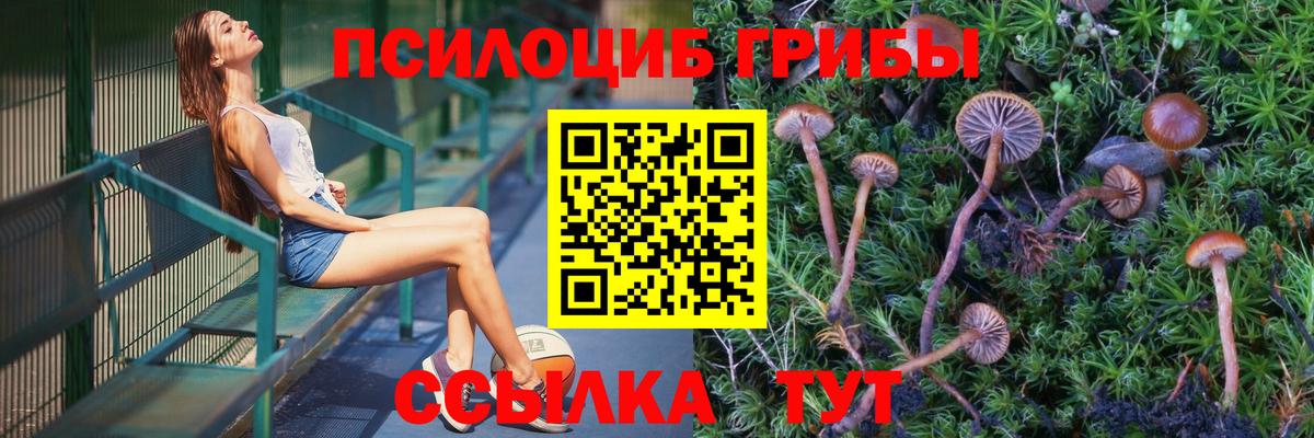 Псилоцибиновые грибы GOLDEN TEACHER  Вход с VPN  Усть-Лабинск  Галлюциногенные грибы Psilocybine cubensis 